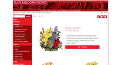 Desktop Screenshot of budsnbloomsflorist.net